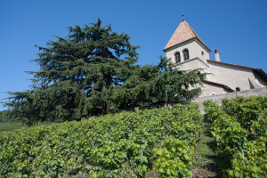 L'église de Luins.